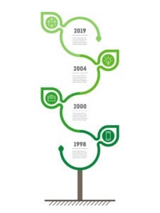 Vertical Timeline infographics with leafs. The development and g