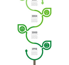 Vertical Timeline infographics with leafs. The development and g